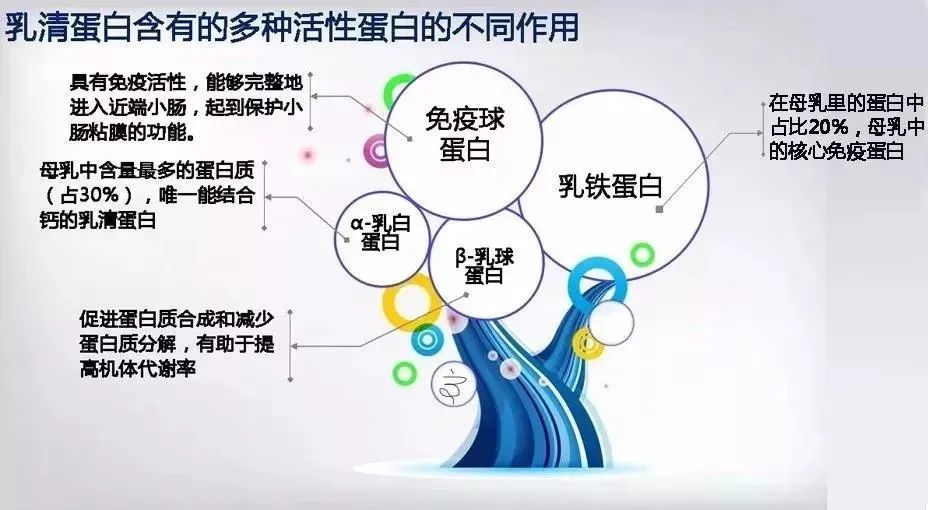 為什么建議寶寶吃乳鐵蛋白？乳鐵蛋白不得不知的好處