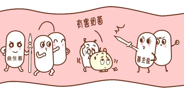 胃癌元兇幽門螺桿菌，益生菌竟是根除它的好幫手