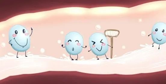 “孕期”為什么要補(bǔ)充益生菌？直接關(guān)系到“嬰兒”的健康