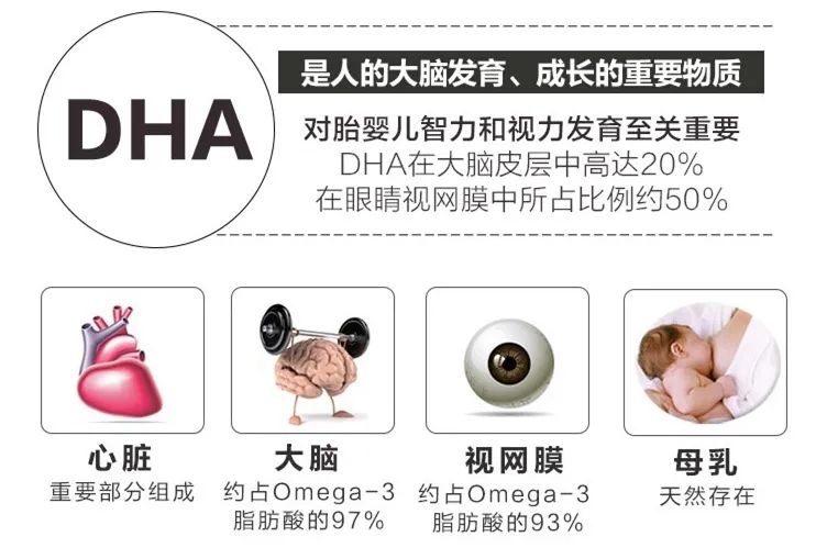 缺乏DHA對嬰幼兒的危害？