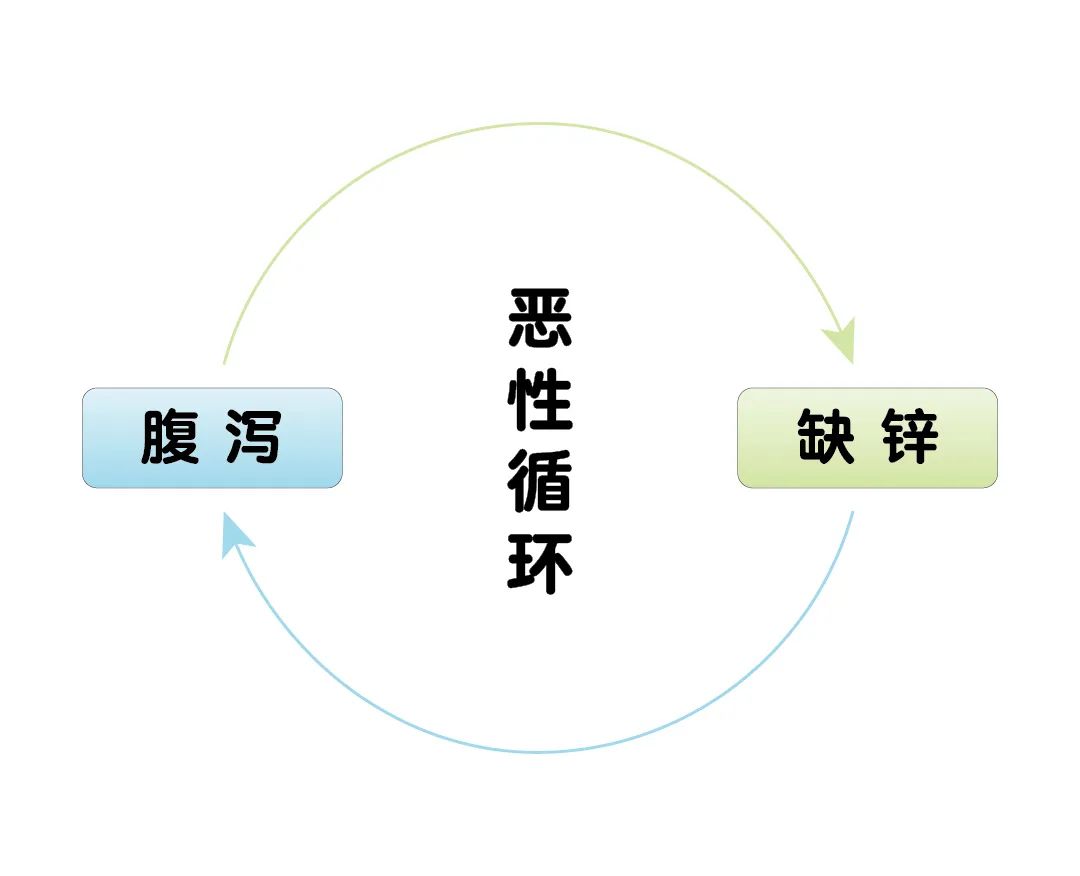 寶寶腹瀉期間，為什么要補鋅？